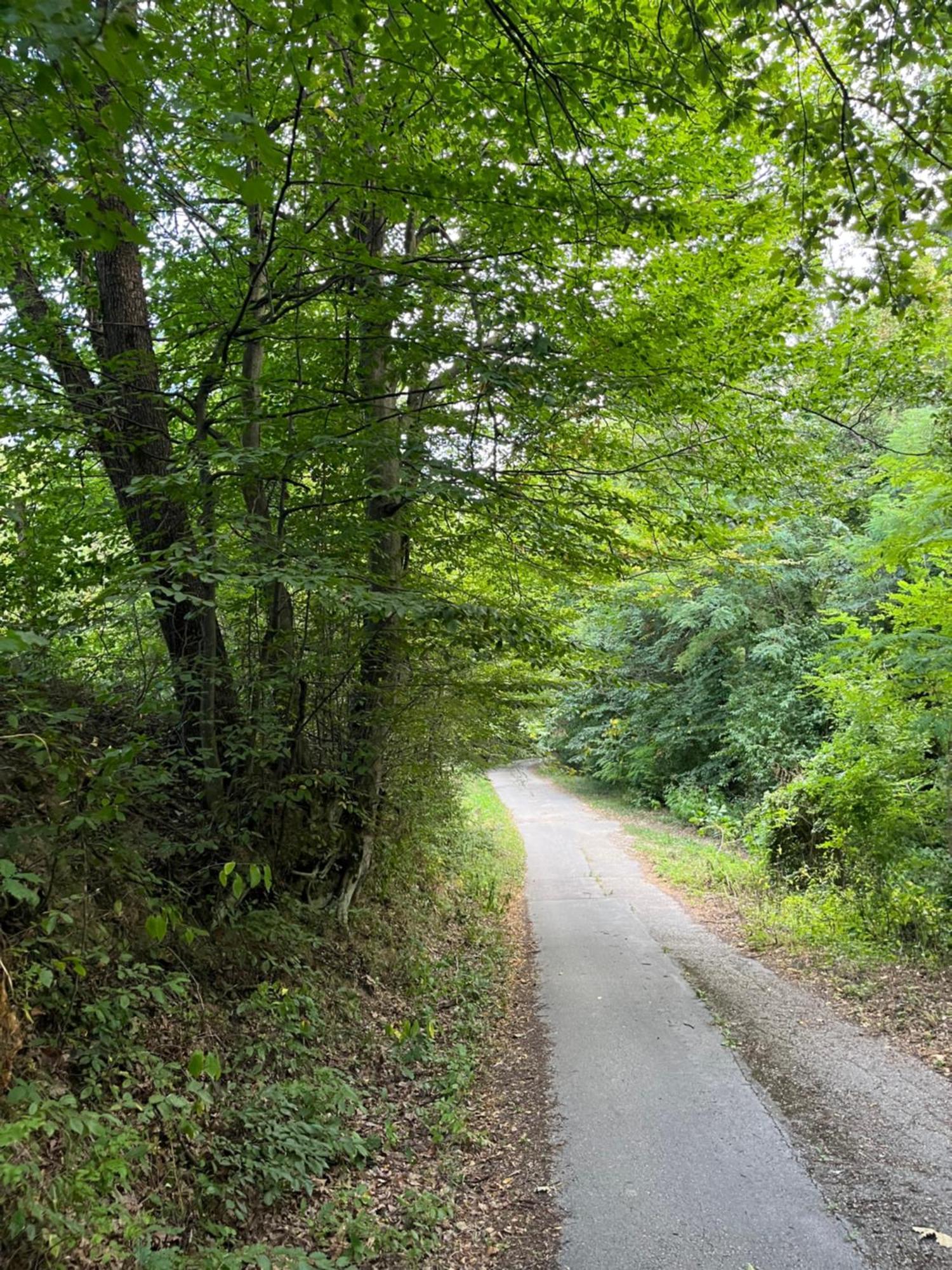 Verta House Tryavna Bagian luar foto